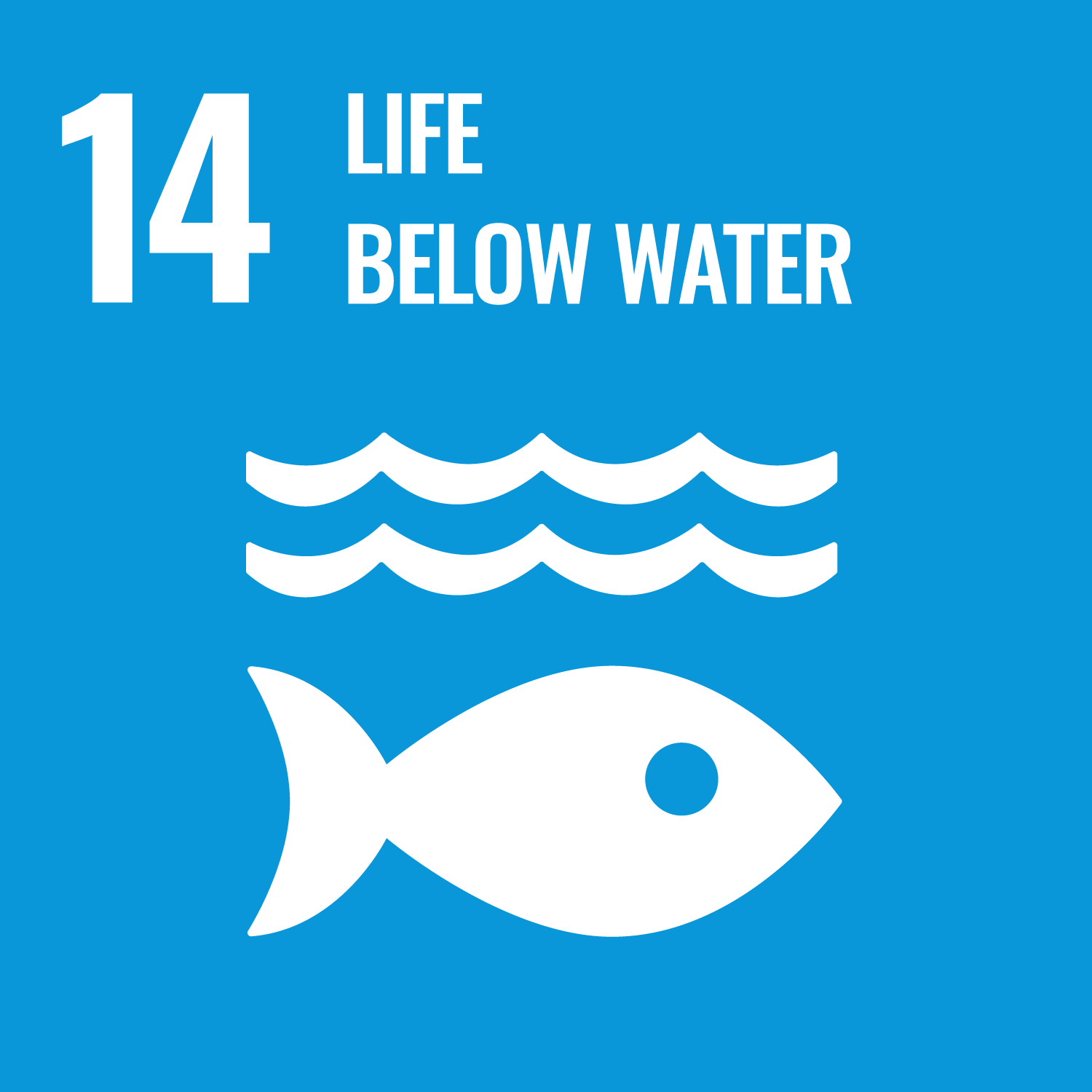 SDGs 14 LIFE BELOW WATER icon
